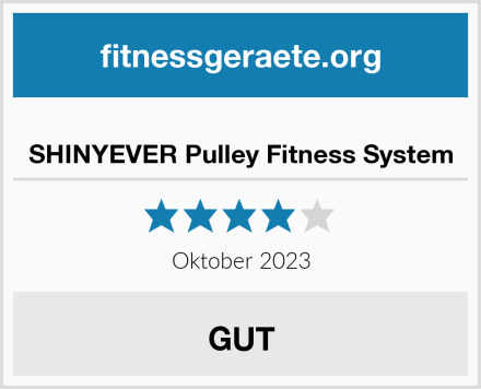 SHINYEVER Pulley Fitness System Test